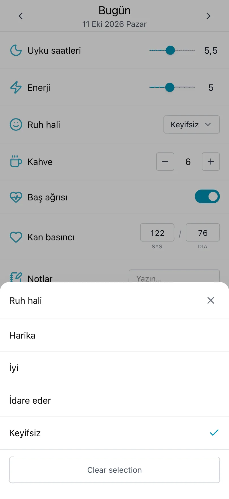 Ruh hâli için açılan liste; bugünkü seçim işaretli